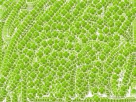 find 7 apples