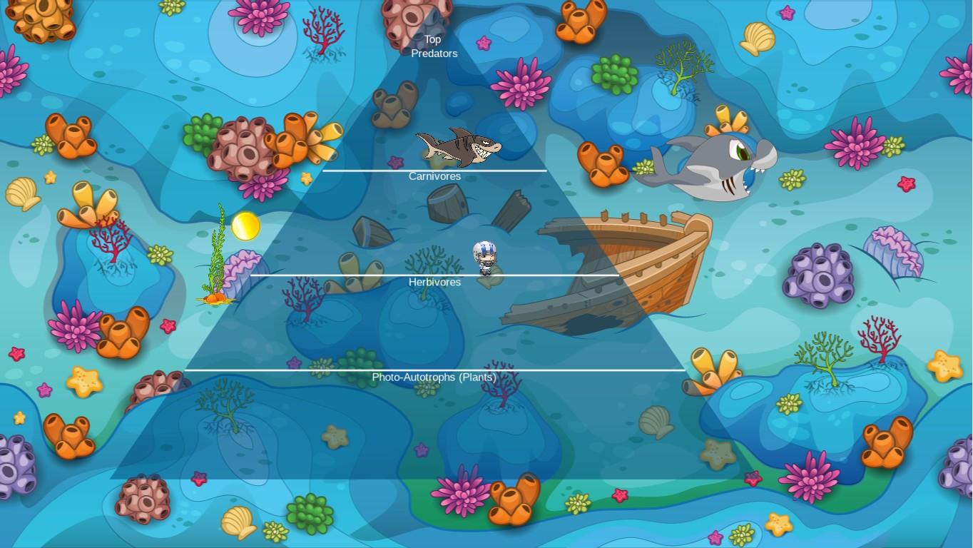 Ocean Ecological Pyramid