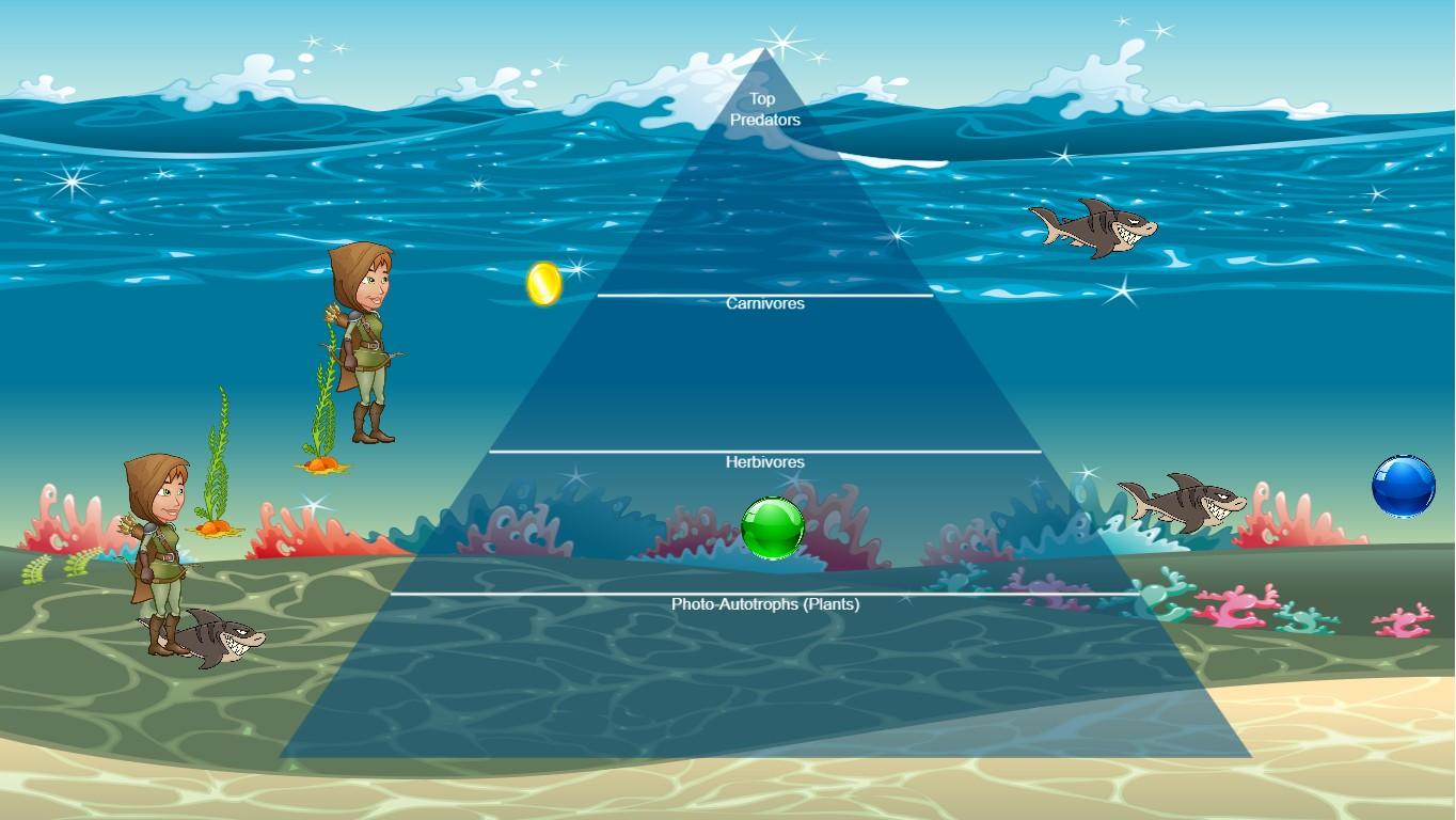 Ocean Ecological Pyramid