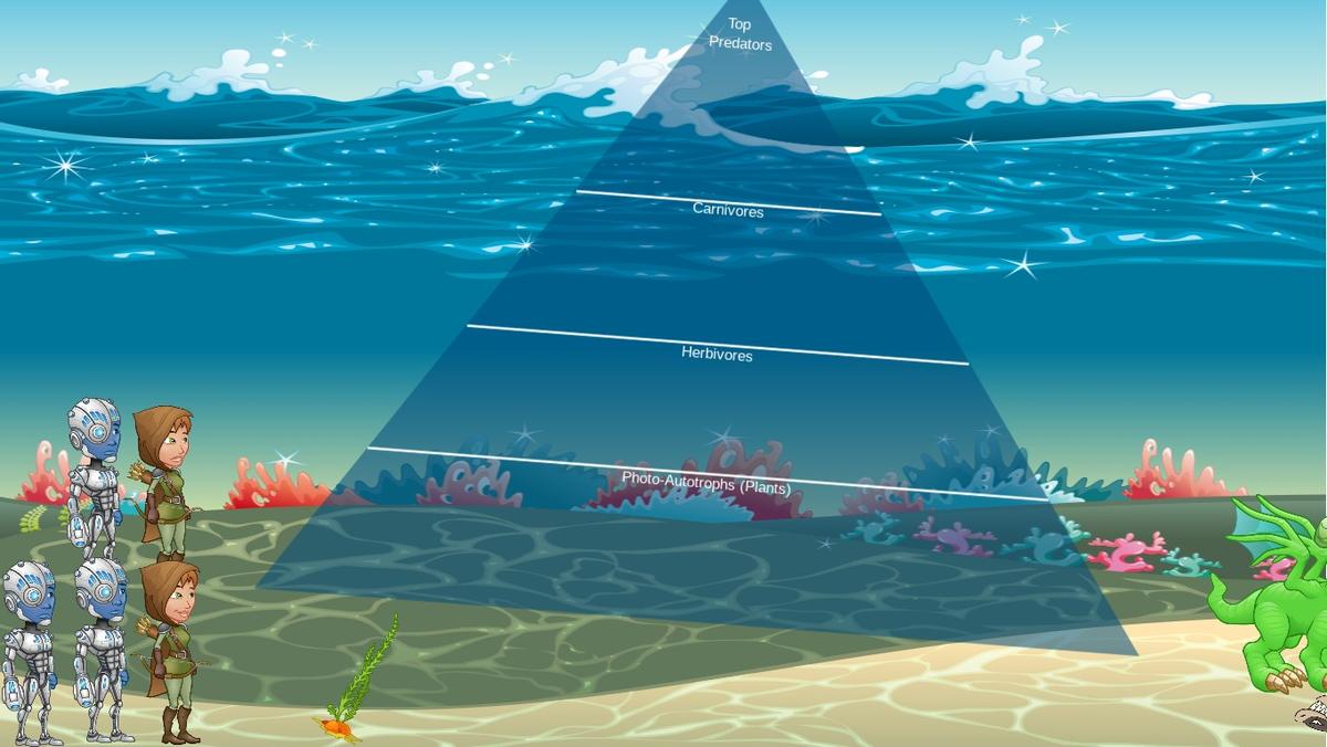 Ocean Ecological Pyramid