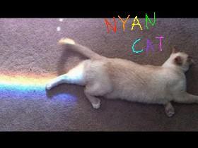 nyan cat