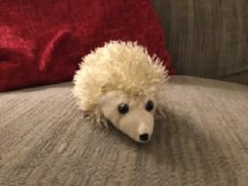 Hedgie’s bouncy party