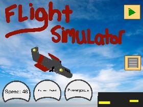 Flight Simulator 1 1