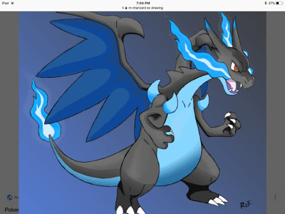 the mega zard