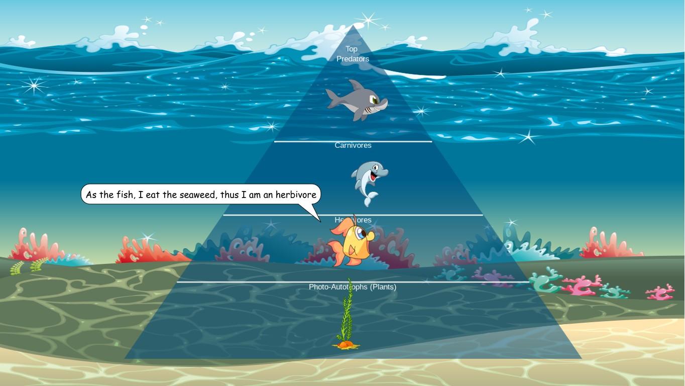 Ocean Ecological Pyramid