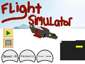 Flight Simulator 1