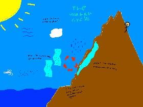 The water cycle 1 1