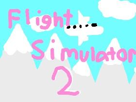 Flight Simulator 2