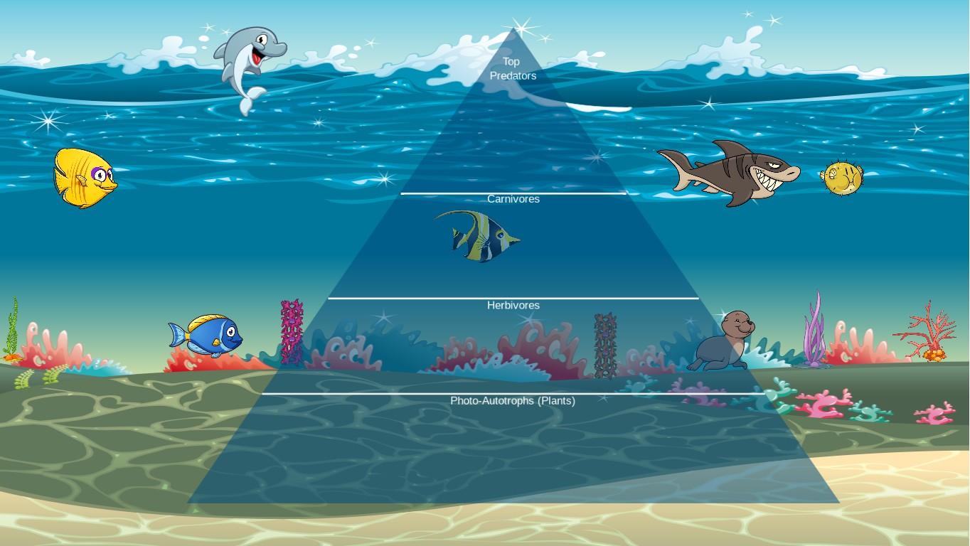 Ocean Ecological Pyramid