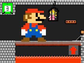 MARIO SAVES PRINCESS PEACH