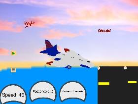 Flight Simulator 1 1 1