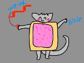 weird Nyan cat dance!!!