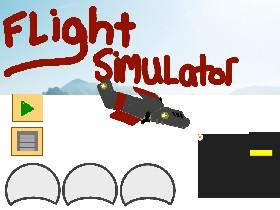 Flight Simulator 1 - copy