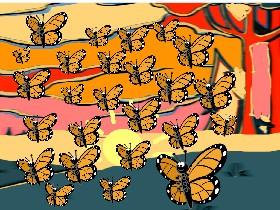 butterfly migration