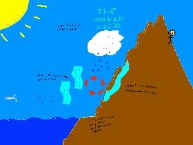 The water cycle 1