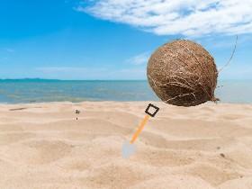 Coconut Grower