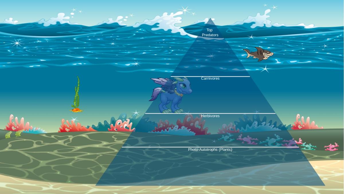 Ocean Ecological Pyramid