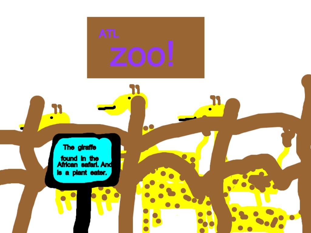 giraffes at the ATL zoo