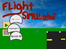 Flight Simulator 1