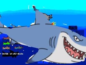 Shark! 1