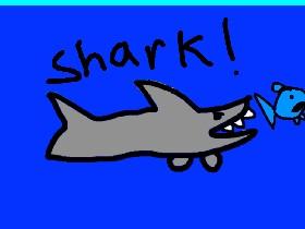 Shark! 1