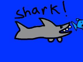 Shark! 2