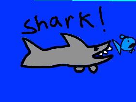 Shark! 1