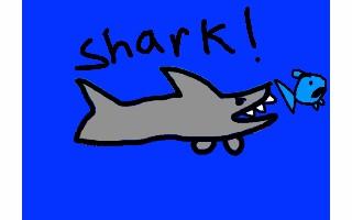 Shark!