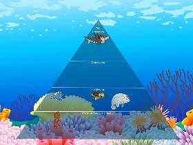 Ecological Pyramid 1