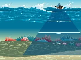 Ecological Pyramid 1