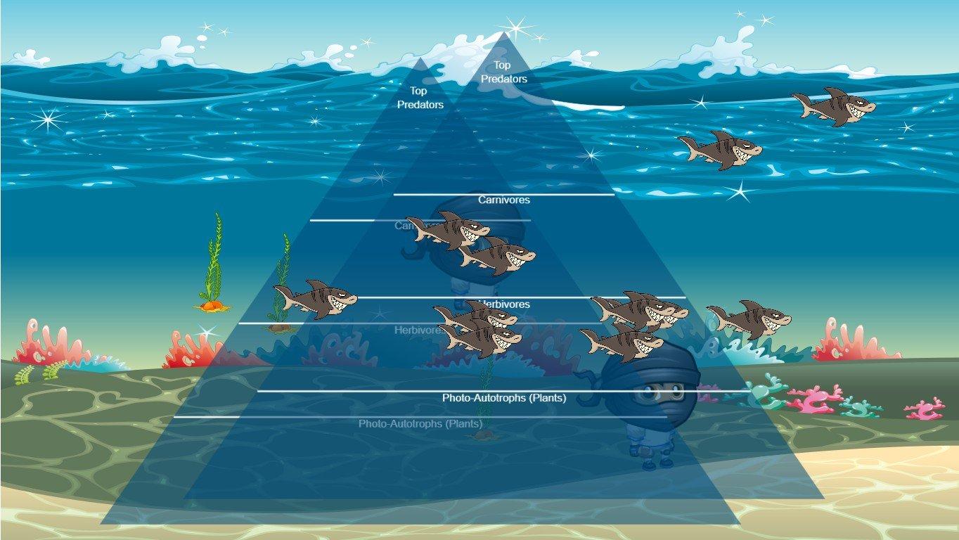 Ocean Ecological Pyramid