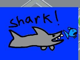 Shark! 1