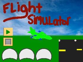 Flight Simulator 1