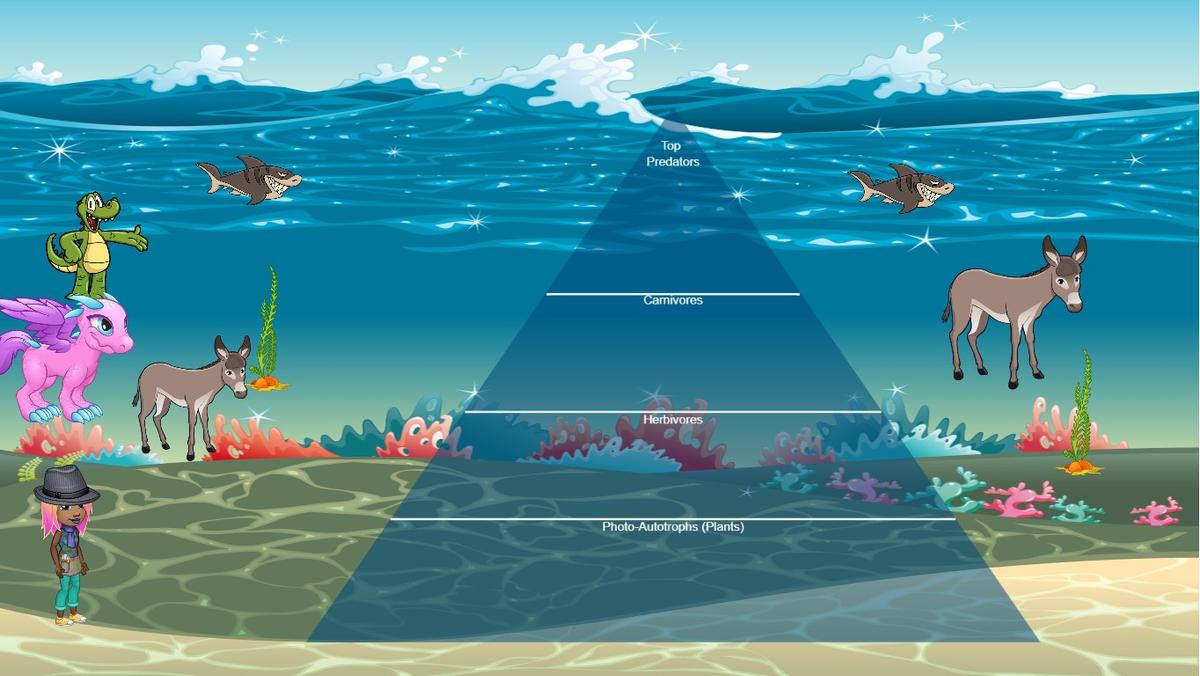 Ocean Ecological Pyramid