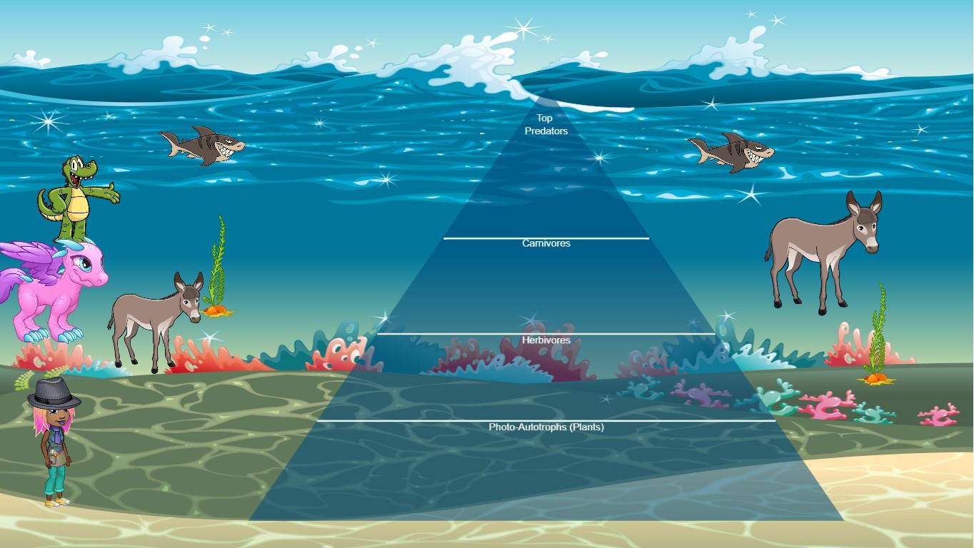 Ocean Ecological Pyramid