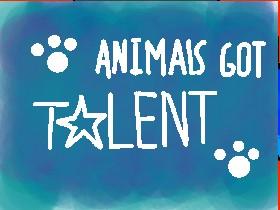 🐶Animal’s Got Talent🐶 1