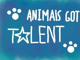 🐶Animal’s Got Talent🐶