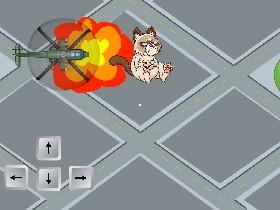 Helicopter battle