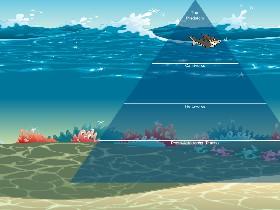 Ecological Pyramid 2