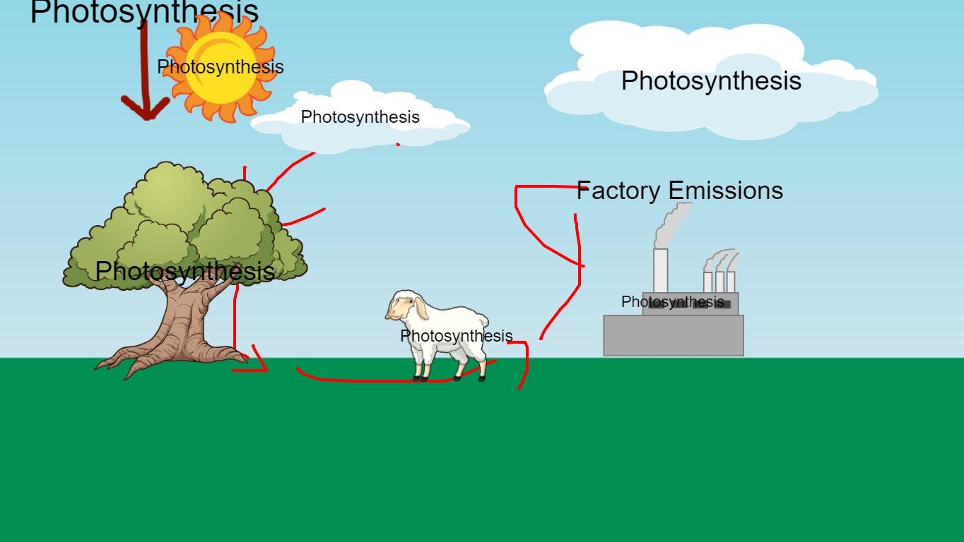 Carbon Cycle - TEMPLATE