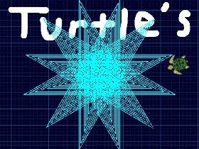 Turtle fun spinner