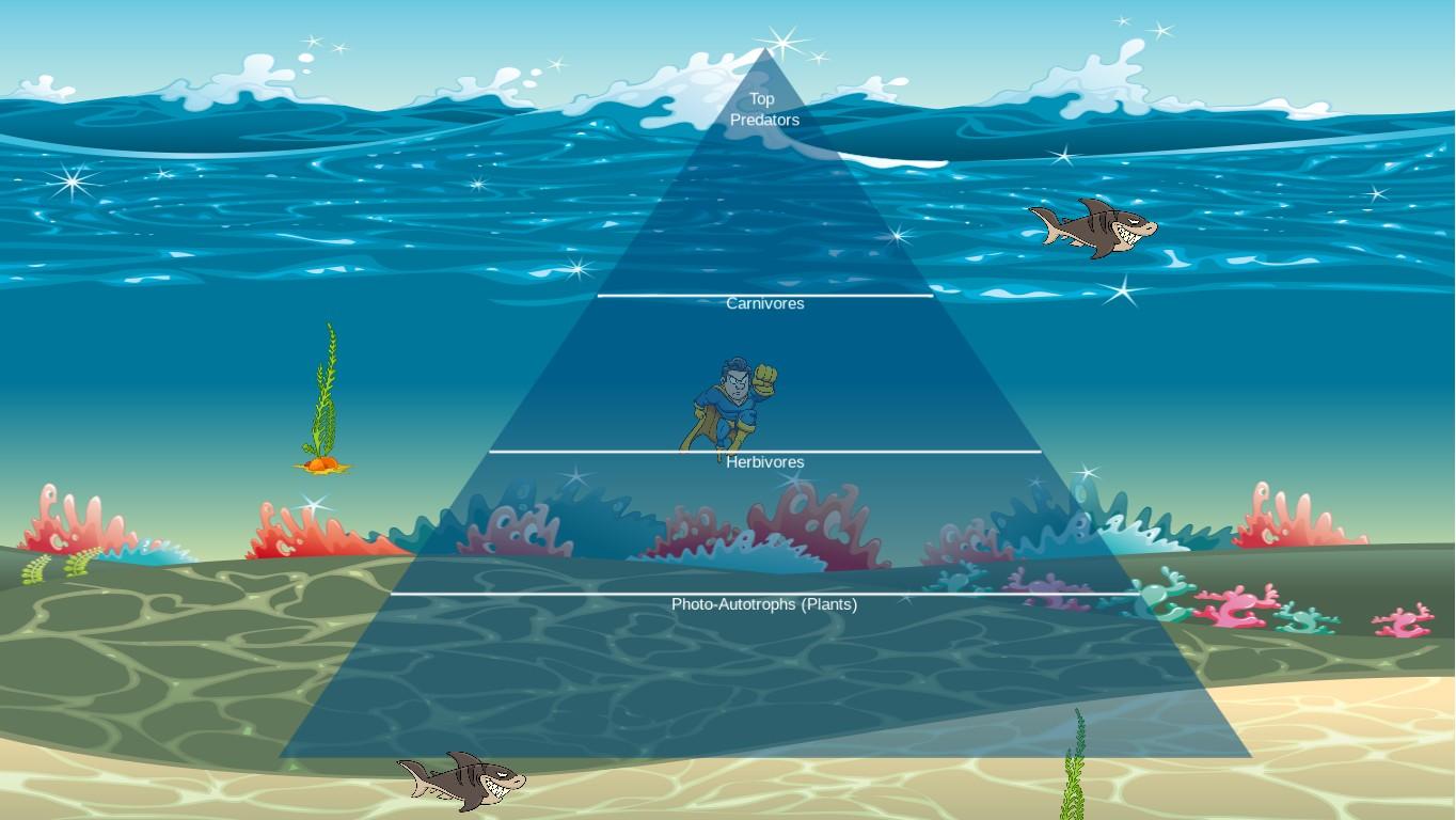 Ocean Ecological Pyramid