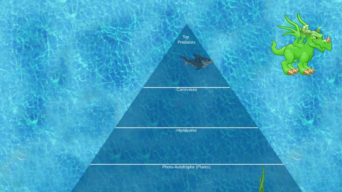 Ocean Ecological Pyramid