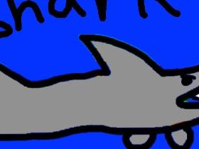 Shark! 1 1