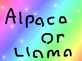 Alpaca or Llama?