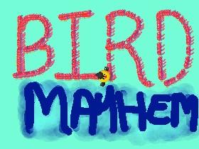 Bird Mayhem!!!