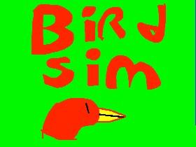 BIRD SIM