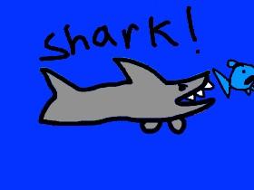 Shark! 1#hacks