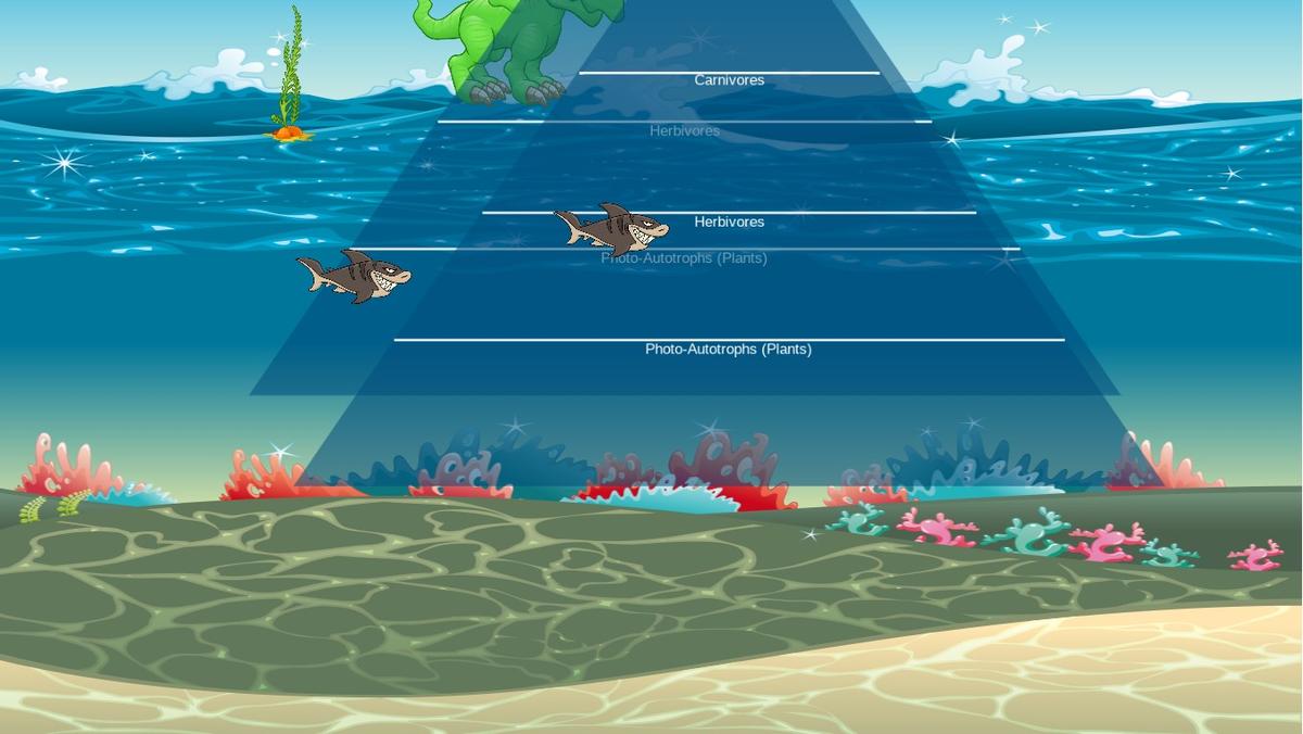 Ocean Ecological Pyramid