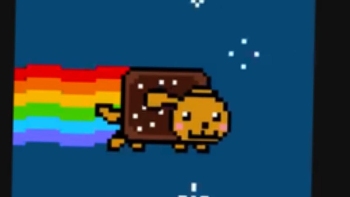 nyan dog